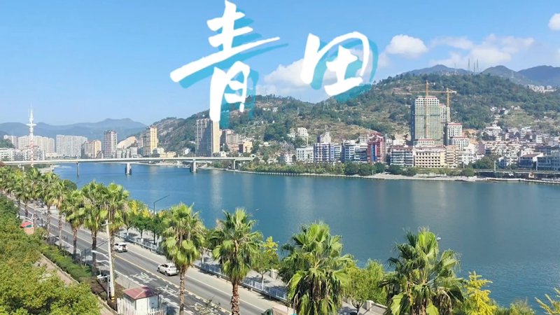 新材料行业的创新力量：青田聚合物引领潮流